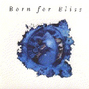 No Grips by Born For Bliss