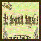 The Calocybe Collection