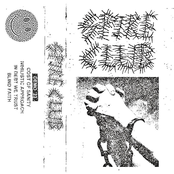 SPIKE CLUB - DEMO '23