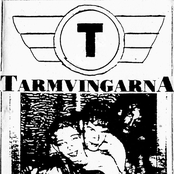 Tarmvingarna