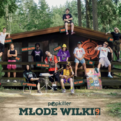Popkiller Młode Wilki 9