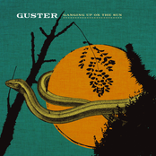Guster: Ganging Up on the Sun