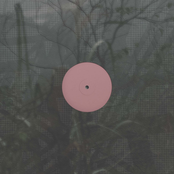 For The Early Hours of a World in Bloom