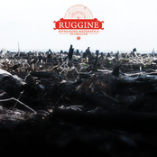 Estrazione Matematica di Cellule