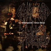 Embludgeoned / Human Filleted