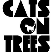 Sirens Call - Single