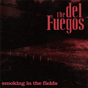 Part Of This Earth by The Del Fuegos
