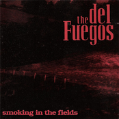 The Del Fuegos: Smoking in the Fields
