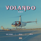 Volando (Remix)