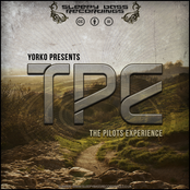 The Pilots Experience