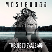 Tribute To Svalbard