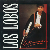 Los Lobos: La Bamba / Charlena