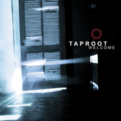 When by Taproot