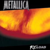 Carpe Diem Baby by Metallica