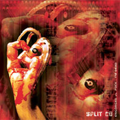 Split CD