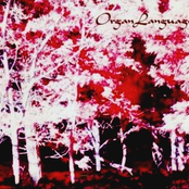 OrganLanguage Plays Outer Tone-Live