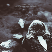 Dead in the Water (Acoustic)