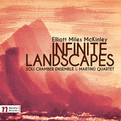 Infinite Landscapes