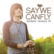 Seventeen by Saywecanfly