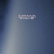 Wet Concrete and Rain Drops Collecting on the Edges of the Feathers of Birds