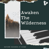 Awaken The Wilderness