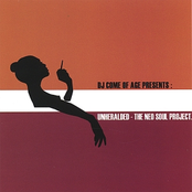 Unheralded-The Neo Soul Project