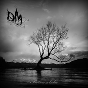 Poética solidão - Single