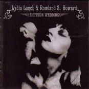 Endless Fall by Lydia Lunch & Rowland S. Howard