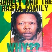 harley and the rasta family