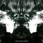 A Skin Stitched Epitaph