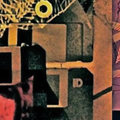 Flowers In Glass Cases