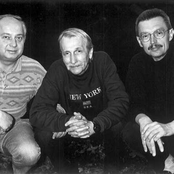 emil viklický trio