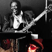 b.b. king & zucchero