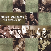 Am I Ever Gonna See Your Face Again by Dust Rhinos