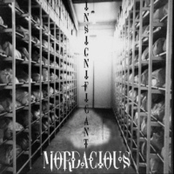 The Morgue by Mordacious
