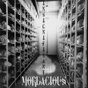 Beyond by Mordacious