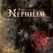 Blue Water by Fields Of The Nephilim