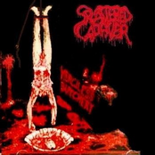 Complete Carnage by Splattered Cadaver