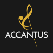 Studio Accantus