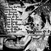 The Glamour Of The Sick