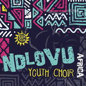 Ndlovu Youth Choir: Africa