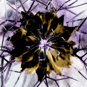 Ghosts & Whispers (2009)