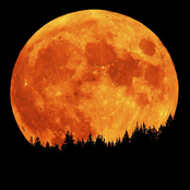 orange moon