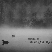 Tribute to Старуха мха