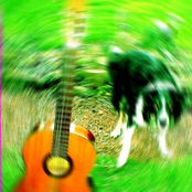 Sinister Stories For The Young I: Vegetable Festival