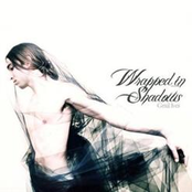 Wrapped in Shadows (With You) - Single