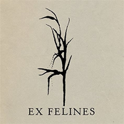 Ex Felines