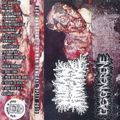 split with Human Pancake