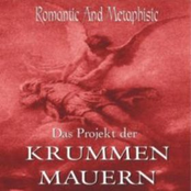 das projekt der krummen mauern