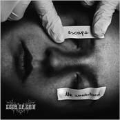 Escape the Wonderland